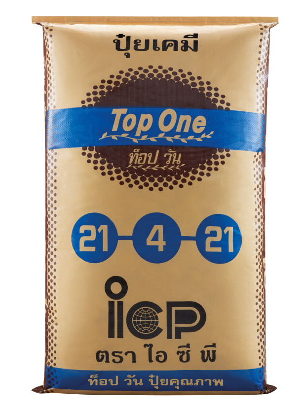 21-4-21 ท็อปวัน
